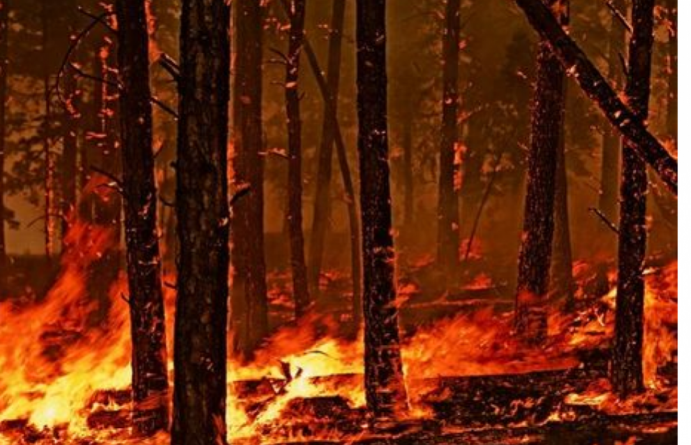 fire305