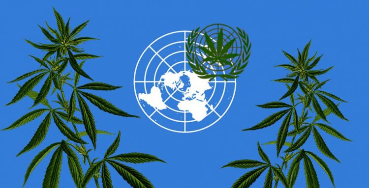 ΟΗΕ-Κάνναβη-UN
