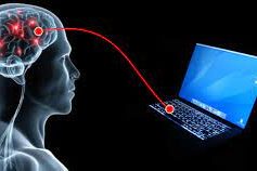 τσιπεγκεφαλο