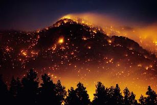 ΠΥΡΚΑΓΙΑ ΣΤΟ ΔΑΣΟΣ