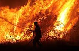 fires0101