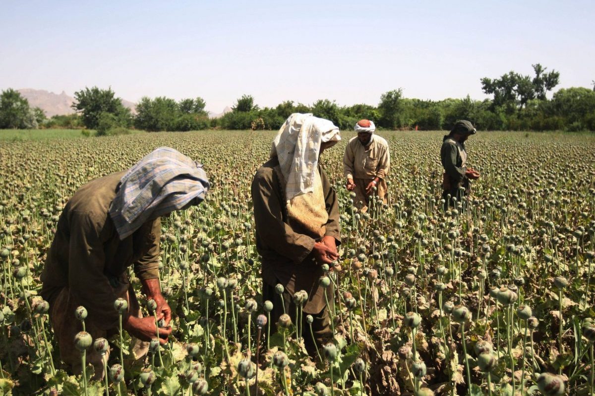 Medvedev56169743-scaled