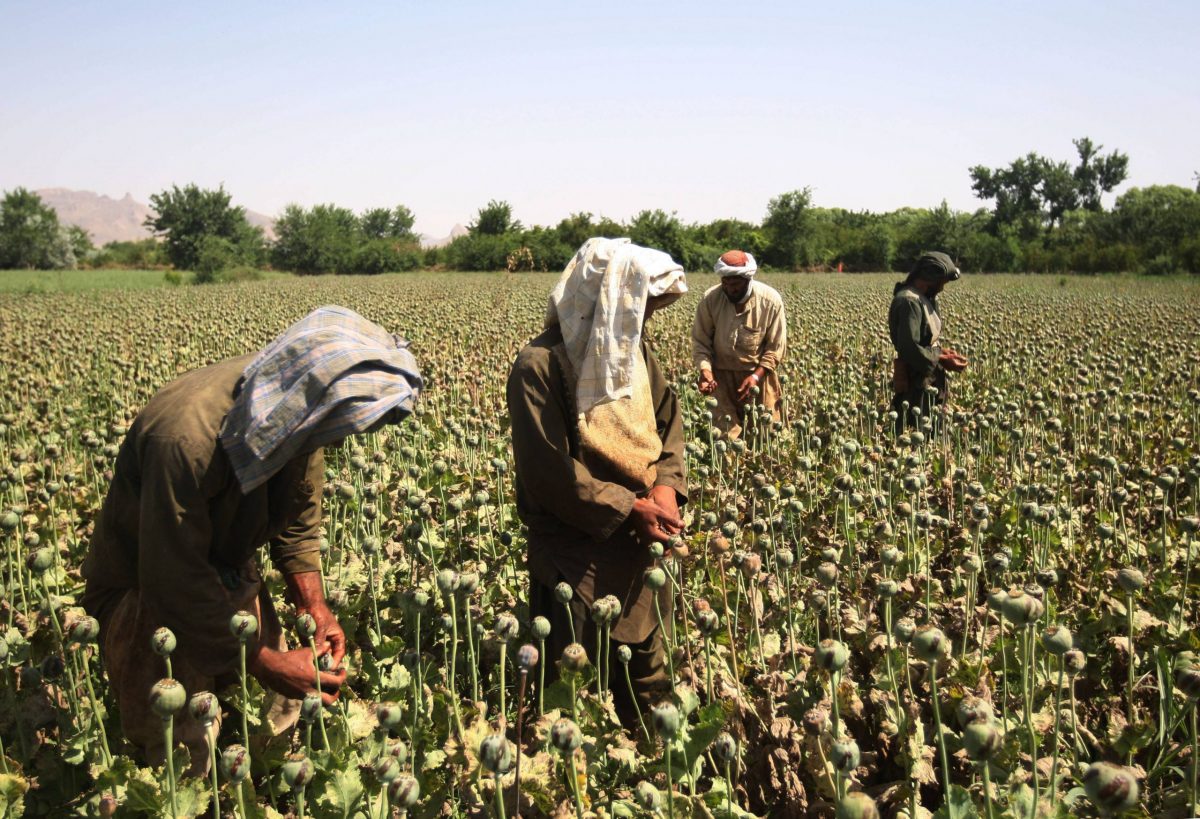 Medvedev56169743-scaled