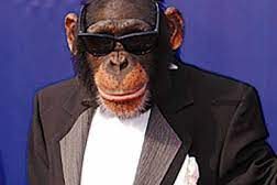 μαιμου εθνικιστες