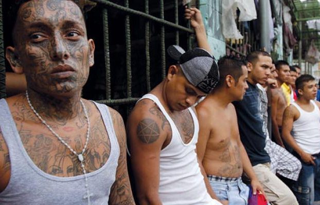 8139-cartel-droga-drug-gang