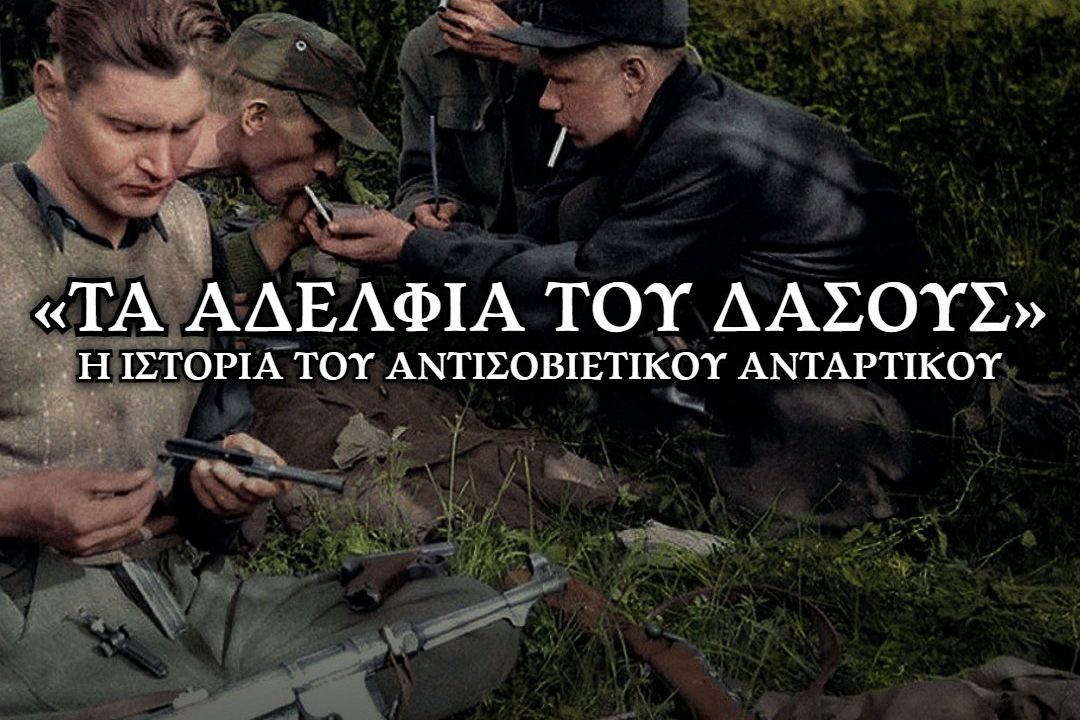Τα αδερφια του Δασους THUB
