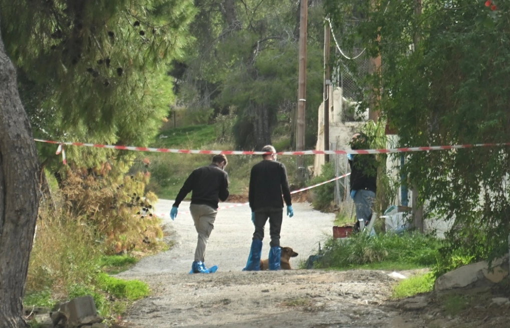 εικόνα_2025-11-06_000428333