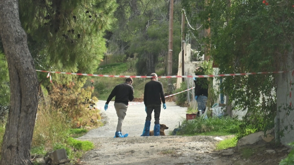 εικόνα_2025-11-06_000428333