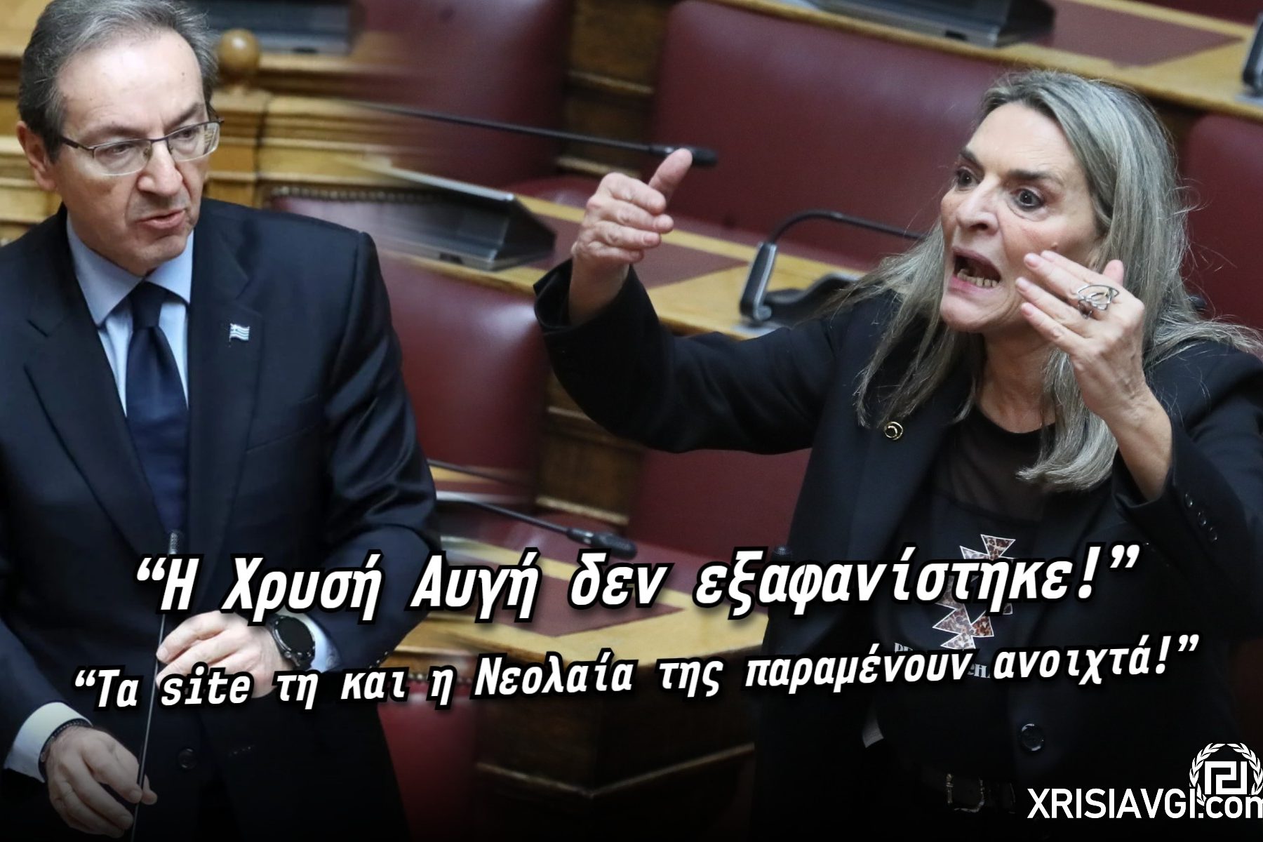 Πέρκα χρυσή αυγή (2)