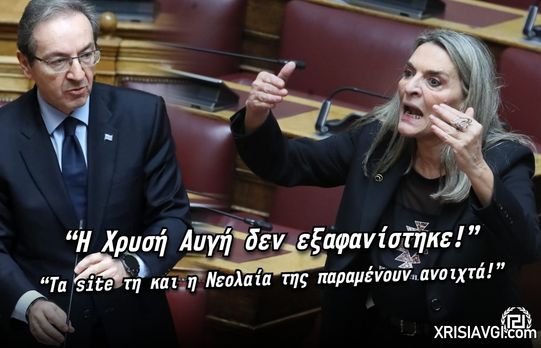 Πέρκα χρυσή αυγή (2)