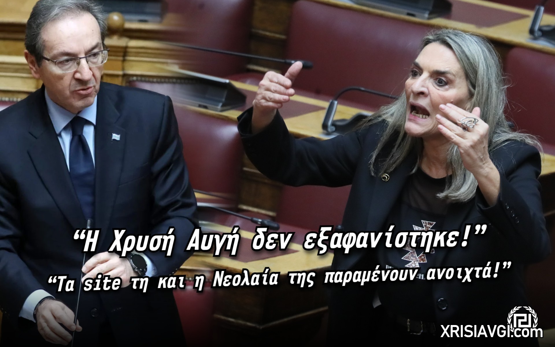 Πέρκα χρυσή αυγή (2)