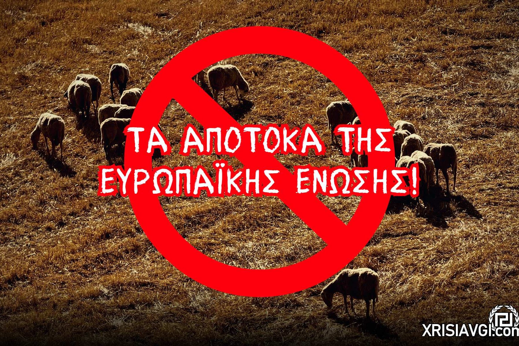 ΕΕ Κτηνοτροφία